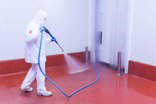 Best Gutter Cleaning and Brightening in Knollwood, IL